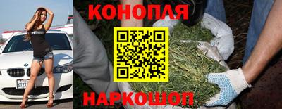 гидра Малгобек