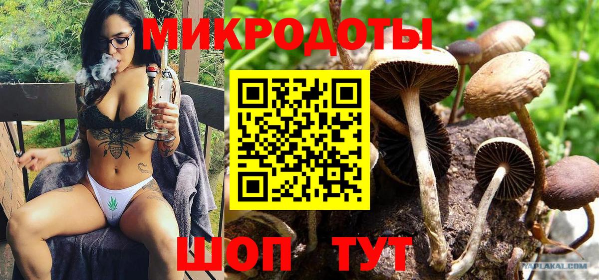Галлюциногенные грибы MAGIC MUSHROOMS  Вход с VPN  Псилоцибиновые грибы мухоморы  Сегежа 