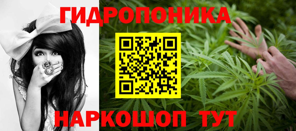 Каннабис гибрид  МАРИХУАНА AK-47  Канабис семена  Сегежа  Марихуана Bruce Banner  Вход с VPN 